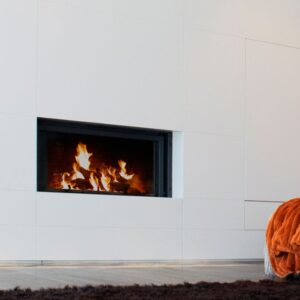 STÛV 21-105 Woodburning Stove